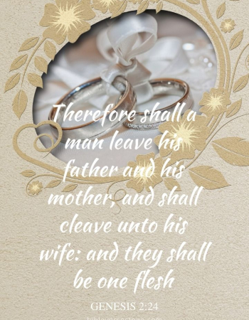 Wedding Rings Genesis 2:24