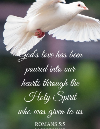 White Dove Romans 5:5