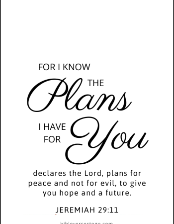White Jeremiah 29:11