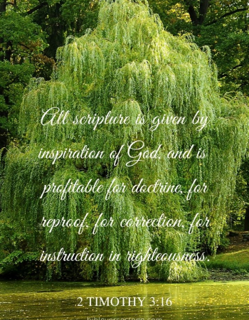 Willow Pond 2 Timothy 3:16