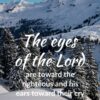 Christian Wallpaper - Winter Pines Psalm 34:15
