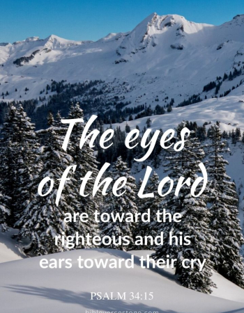 Winter Pines Psalm 34:15