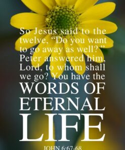 Christian Wallpaper - Words of Life John 6:67-68