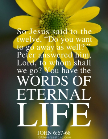 Words of Life John 6:67-68