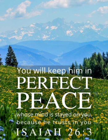 Yellow Field Isaiah 26:3