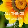 Christian Wallpaper - Yellow Flower Mark 10:27
