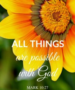 Christian Wallpaper - Yellow Flower Mark 10:27