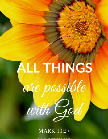 Yellow Flower Mark 10:27