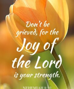 Christian Wallpaper - Yellow Tulips Nehemiah 8:10