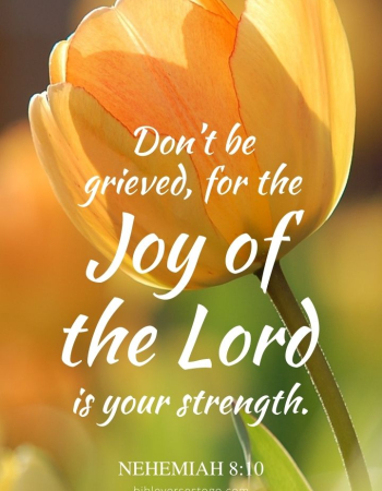 Yellow Tulips Nehemiah 8:10