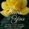Christian Wallpaper – Yellow Rose Jeremiah 29:11