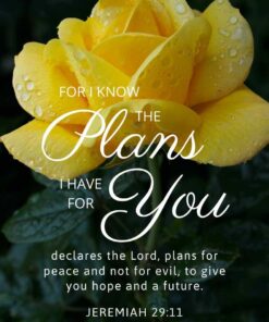 Christian Wallpaper – Yellow Rose Jeremiah 29:11