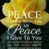 Christian Wallpaper – Yellow Rose John 14:27