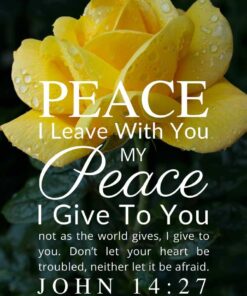 Christian Wallpaper – Yellow Rose John 14:27