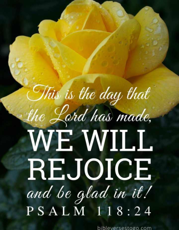 Yellow Rose Psalm 118:24