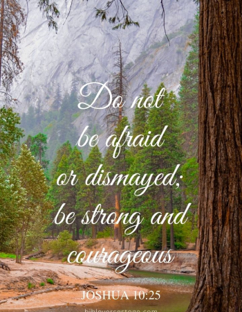 Yosemite Redwoods Joshua 10:25
