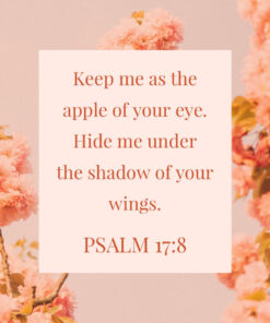 Psalm 17:8 - Shadow of Your Wings - Bible Verses To Go