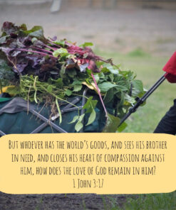 1 John 3:17 - Compassion for People's Needs