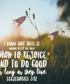 Ecclesiastes 3:12 - Rejoice and Do Good - Bible Verses To Go