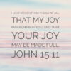 John 15:11 - Your Joy May Be Made Full - Bible Verses To Go