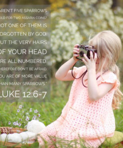 Luke 12:6-7 - More Value Than Many Sparrows - Bible Verses To Go