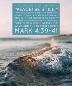 Mark 4:39-41 - Peace Be Still - Bible Verses To Go