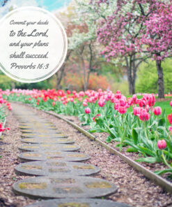 Proverbs 16:3 - Your Plans Shall Succeed - Bible Verses To Go