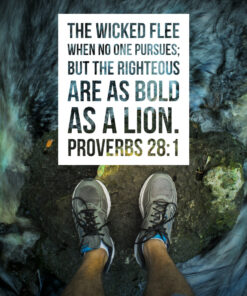 Proverbs 28:1 - Bold as a Lion - Bible Verses To Go