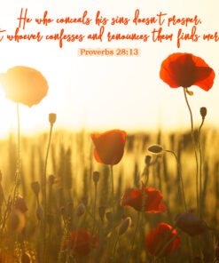Proverbs 28:13 - Confess and Find Mercy - Bible Verses To Go