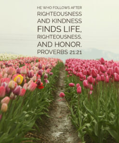 Proverbs 21:21 - He Who Follows Righteousness Finds Life - Bible Verses To Go