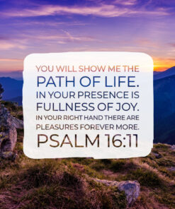 Psalm 16:11 - In Your Presence Is Fullness of Joy - Bible Verses To Go