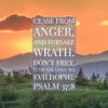 Psalm 37:8 - Cease from Anger and Forsake Wrath - Bible Verses To Go