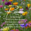 Christian Wallpaper - Remain 2 Timothy 3:14