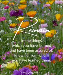 Christian Wallpaper - Remain 2 Timothy 3:14