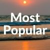 Popular Phone Wallpaper Downloads